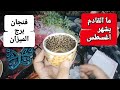 فنجان برج الميزان قراءةتفصيليةمن29لغاية8اغسطس ظلموك وحقك سيعود قدر يعيد توازنك قلبك تعب من الانتظار فنجان برج الميزان قراءةتفصيليةمن29لغاية8اغسطس ظلموك وحقك سيعود قدر يعيد توازنك قلبك تعب من الانتظار