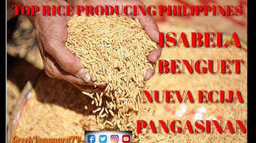 🔴TOP RICES -PRODUCING PROVINCES IN THE PHILIPPINES|GreekVanguardTV
