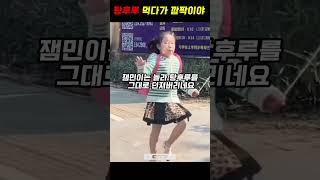 탕후루 먹다가 정색한 이유 screenshot 1