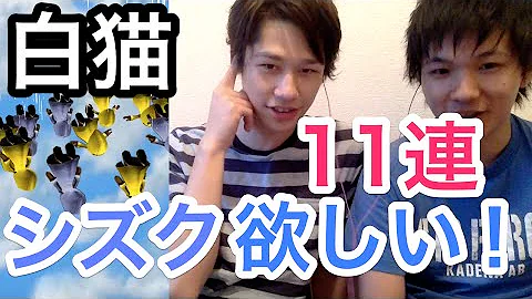 白猫 6000万ダウンロード
