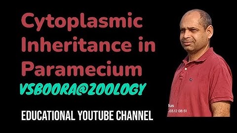 Cytoplasmic Inheritance in paramecium