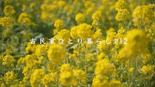 春の西伊豆・土肥観光｜土肥桜・河津桜｜安楽寺｜土肥温泉の鉱湯（まぶゆ）｜食事処さくら｜天正金鉱｜花時計【田舎暮らし】