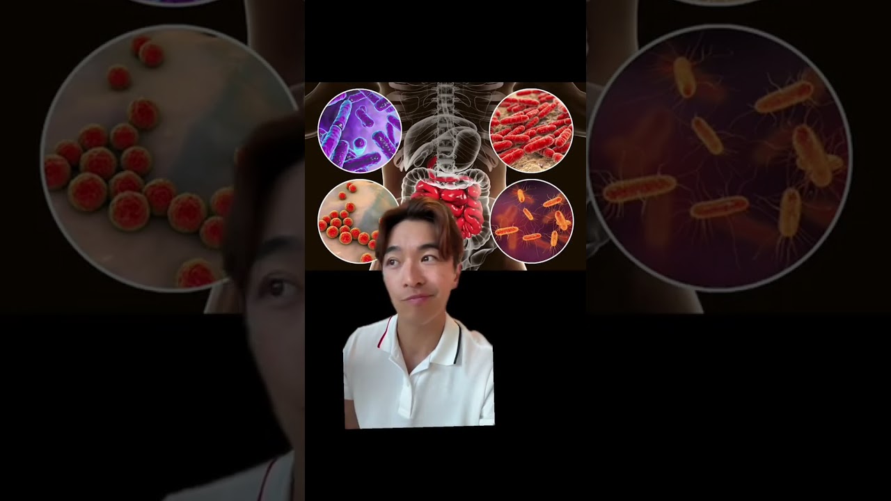 Are my gut issues because of my gut bacteria? One common misunderstanding regarding gut health is