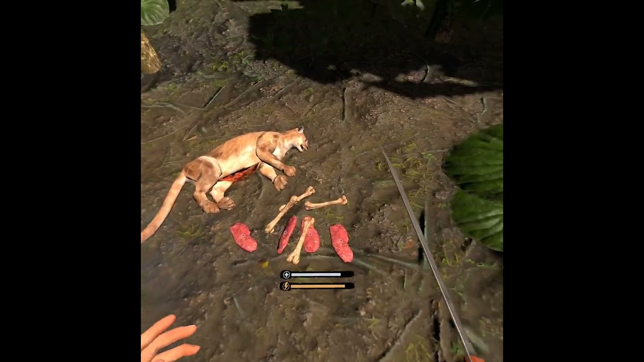 Green Hell VR - How to kill the Puma