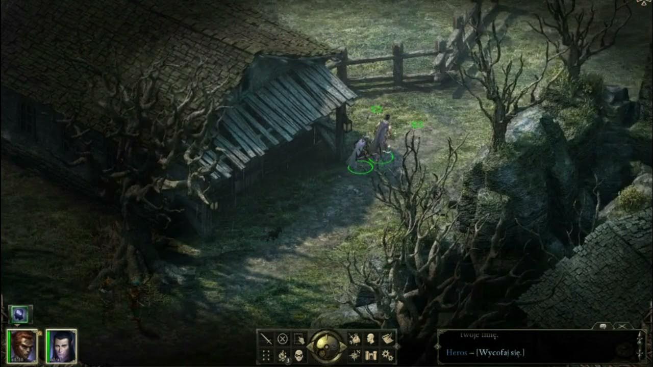 Pillars of Eternity 5 Nonton, ty draniu niemyty! YouTube