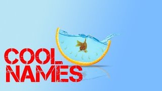 boy Fish names that start with y