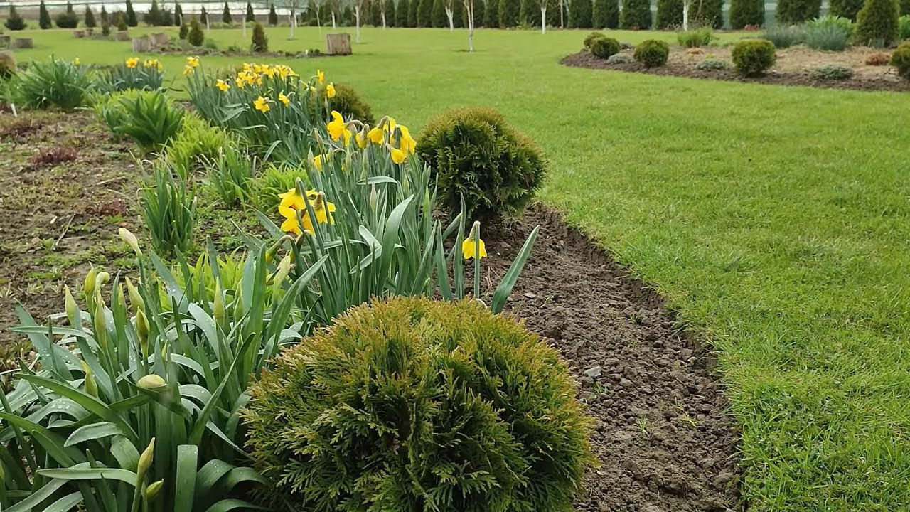 Przegląd sadzonek w tunelu. Jak przetrwały mróz -7. Wysiewy butelkowe - rezultaty na dzień 1.04.23