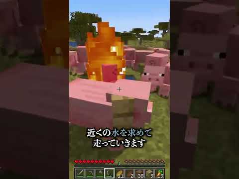絶対に知っておきたい小ワザ集【マイクラ豆知識 解説 裏技】