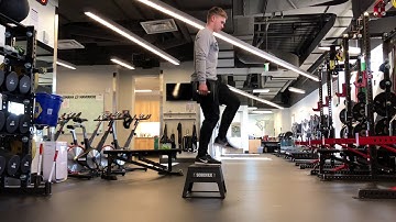 DB Sport Step Up to Hip Flexion