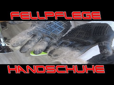 Dr. ZOO KATZEN FELLPFLEGE HANDSCHUHE / MINZE FISCHLI / MASSAGE CENTER [...alles für die Katz]