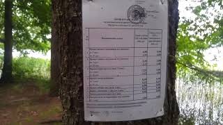 Место для отдыха на берегу озера Бобрыца в Лепельском военном санатории.