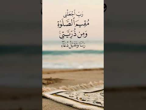 قلبي اطمأن كالغيث كن أملا الجميع تيك توك دويتو اكسبلور كلام من ذهب الرحمن ترند Duet