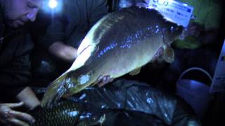 World Carp Classic 2011 First Fish