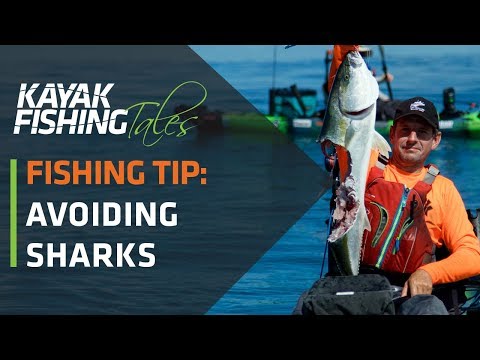 Kayak Fishing Tip | How to Avoid Sharks While Kayak Fishing