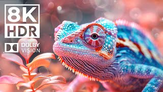 EARTH VISON 8K HDR | with Cinematic Sound (colorful animal beauty)