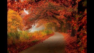 acoustic guitar relaxing music – romantic love songs guitar cover 2018 – instrumental guitar music