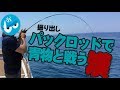 パックロッドで青物と戦う漢