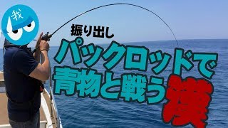 パックロッドで青物と戦う漢