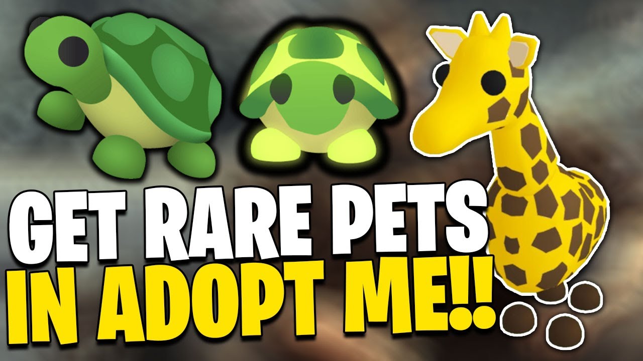 This is How To Find The Most *RARE* Pets In Roblox Adopt Me (July 2021