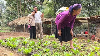 Download Lagu CEO Jack and Tieu Ly were very sad to have to say goodbye to the elderly woman. MP3