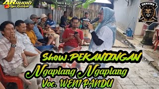 NGAPLANG NGAPLANG Voc. WENI PANDU !!! Kuda depok.SATRIA DENAWA ' Show. PEKANTINGAN-KLANGENAN-CIRBON