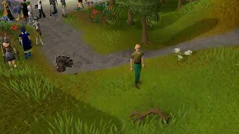 colesp3 shows how to record sound on hypercam 2