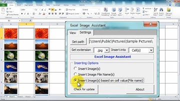 How To Insert Picture in Excel Cell Automatically - Excel Image Assistant AddIn