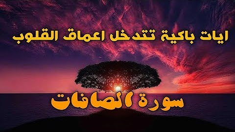 [وقالوا يا ويلنا هذا يوم الدين] من اجمل التلاوات التي تفوق الوصف   /الشيخ ياسر سيد