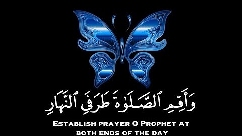 حالات واتس قران ❤️ || القارئ عبدالرحمن الزواوي || قران كريم بصوت جميل❤️✨