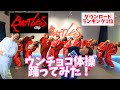 【GO!皆川】ウンチョコ体操踊ってみた【dip BATTLES】