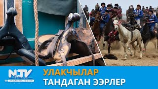 Улакчылар тандаган ээрлер \\\\ Азыркынын азаматтары