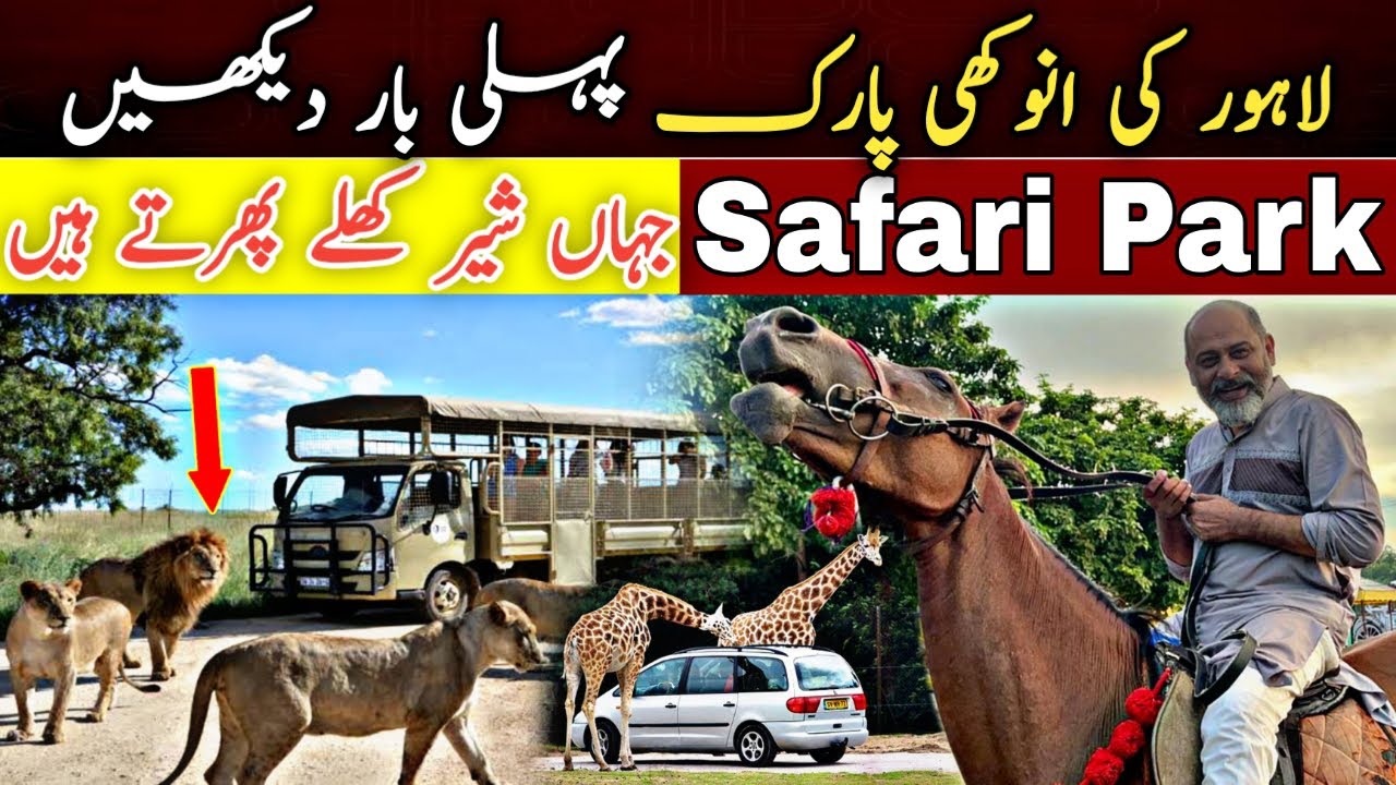 safari park lahore open today