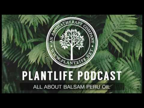 Video: Balsam Peru - Arahan Penggunaan, Ulasan, Harga, Analog