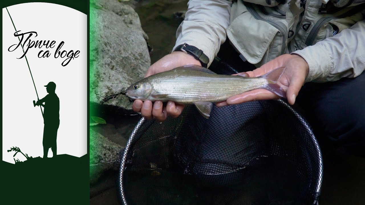 Priče sa vode ep. 108 26.10.2021. Lipljen i poneka pastrmka, kanjon Đetinje, I deo