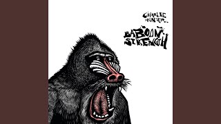 Video thumbnail of "Charlie Hunter - Baboon Strength"