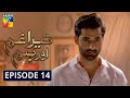 Tera Ghum Aur Hum Episode 14 HUM TV Drama 13 August 2020