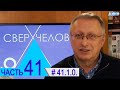 41.1.0. Всезнающие коты. Проект "Сверхчеловек. Кто он?"