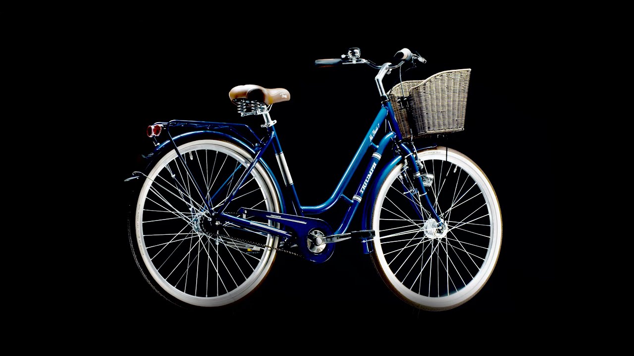 e bike mountainbike focus Focus THRON² 6.7 EQP (2025)