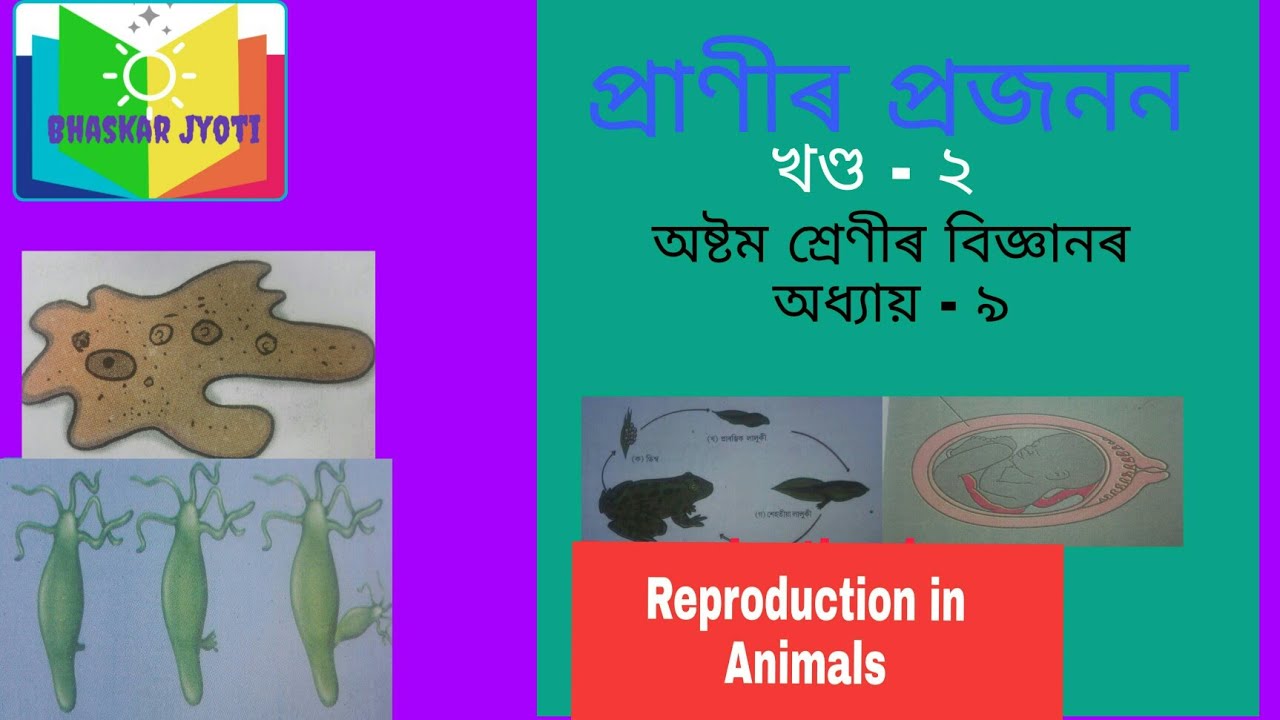 Bhaskar Jyoti@ প্ৰজনন (অষ্টম শ্ৰেণী ) খণ্ড ২ (Reproduction in Animals( Class 8)  part 2