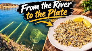 Is This the Best Way to Cook Whitebait? Simple and Delicious!