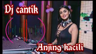Dj terbaru | Dj cantik Anjing Kacili #djcantik #djterbaru