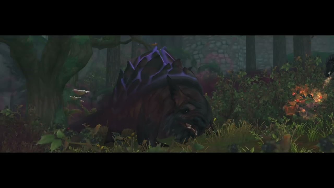 My thoughts on the new update from sso / questing