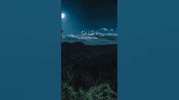 سورة نحل (٧٨) | Surah Nahl (78) | #الشيخ_ياسر_الدوسري | By #sheikhyasseraldossary