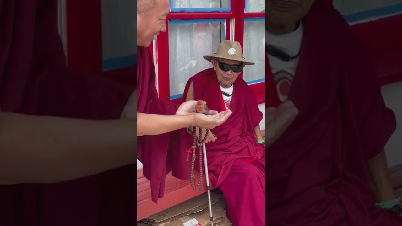 Garchen Rinpoche Blessing an Injured Bird