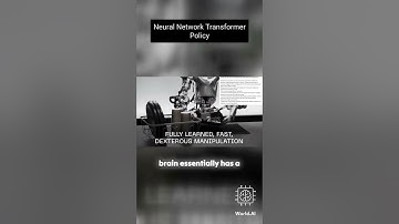 Unveiling the Neural Network Visual Motor Transformer Policy | AI Breakthroughs #viral #shorts