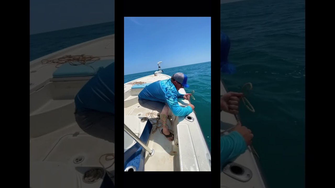 GOLIATH GROUPER HANDLINE!