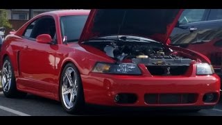 WS6 Firebird gets owned by 90's T Bird by Sir Gregoryson 220 views 8 years ago 1 minute, 12 seconds