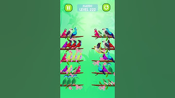 Bird Sort Color Puzzle - 222 #gameplay #shorts
