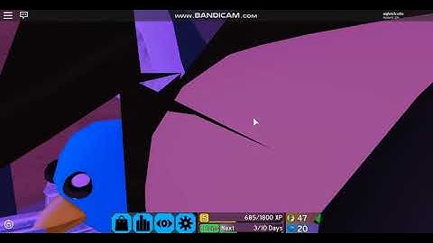 [Flood Escape 2] Hackers in FE2