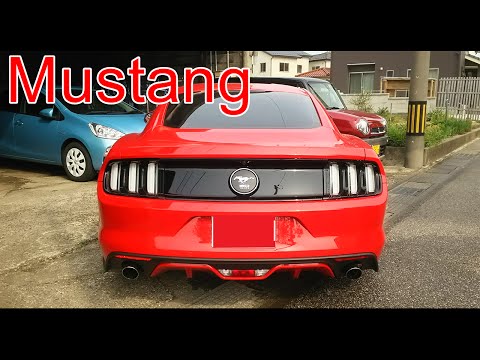 Ford マスタング エコブースト エンジン始動音　2015 Mustang 2.3L EcoBoost Turbo Back Exhaust